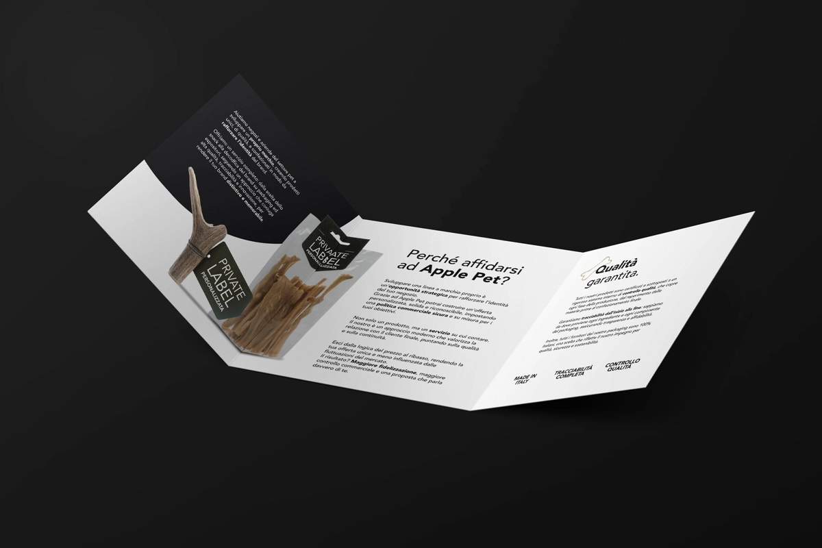 Realizzazione dei pannelli AllenaMente per il Comune di Lecco